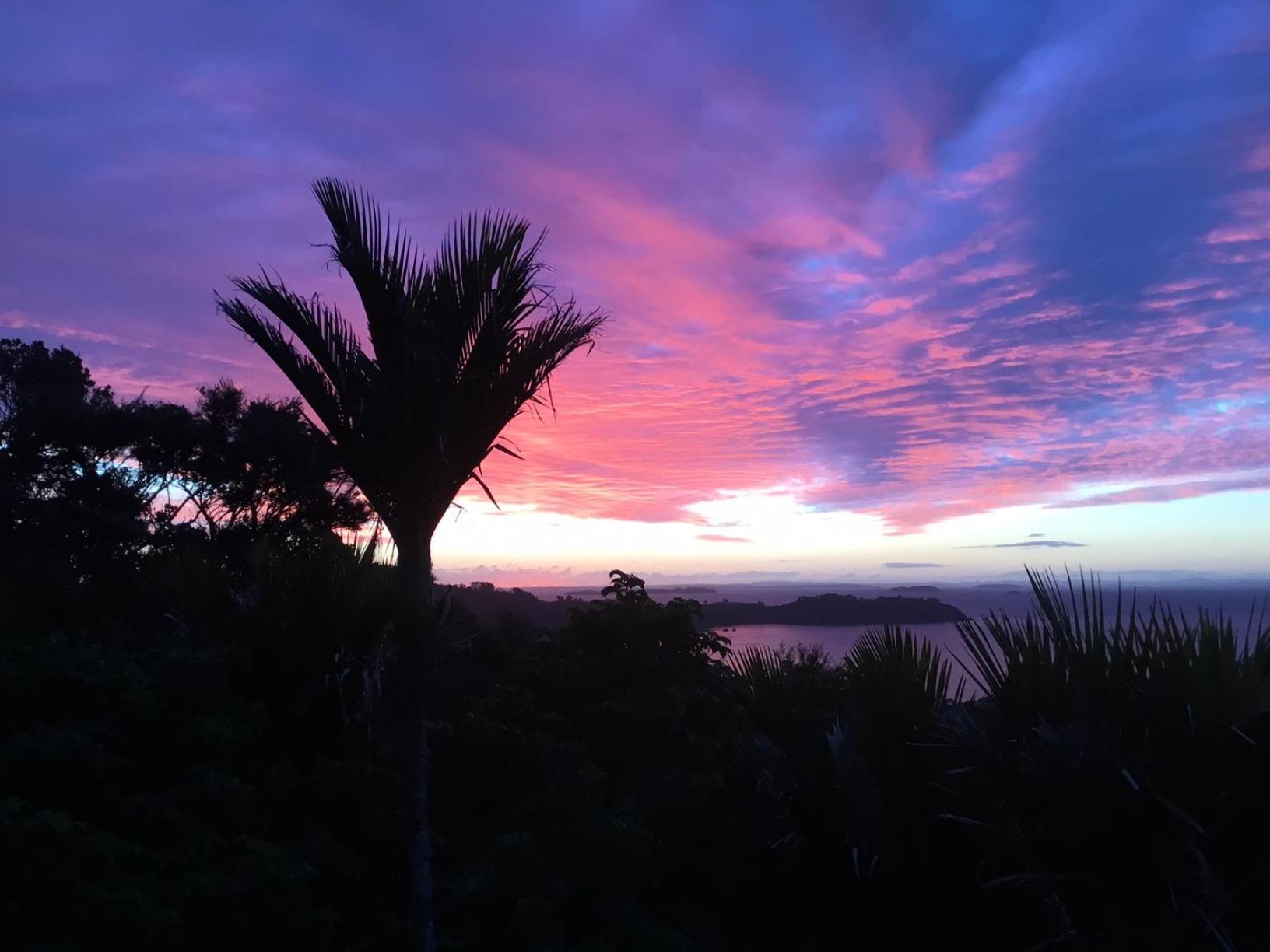 Nikau Apartments Waiheke Island Onetangi エクステリア 写真