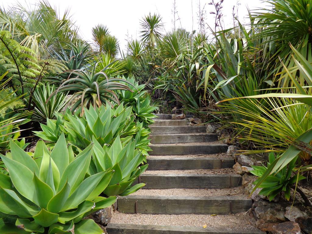 Nikau Apartments Waiheke Island Onetangi エクステリア 写真